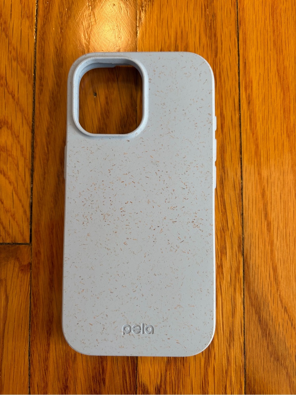 NWT Light Blue iPhone 17 Pela Case